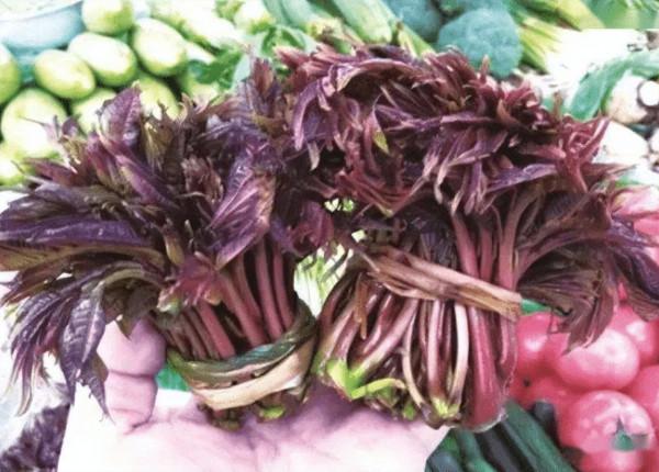 為啥癌症越來越多？建議：5種“自帶毒素”的野菜，能不吃就不吃