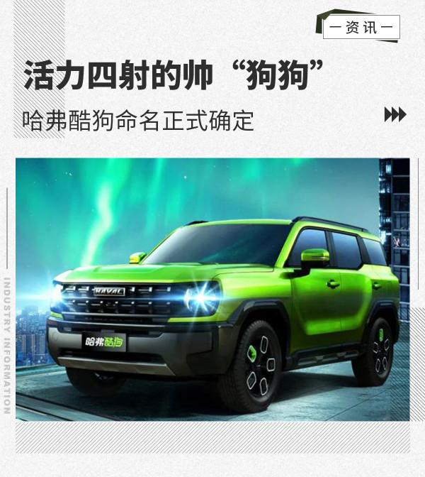 又有一條帥氣的狗狗來了！哈弗酷狗命名確定