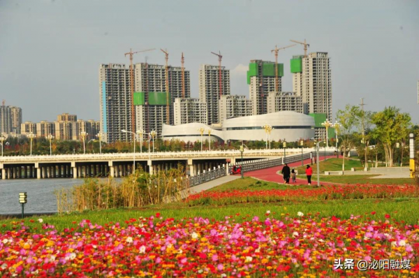 不可思議！已是深秋，月兒灣公園卻如此多彩，恰似夏日還未走遠