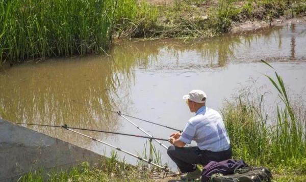 晚秋釣鯽魚，瞧瞧4個必勝技巧，雖簡單卻實用，讓你根本停不下來