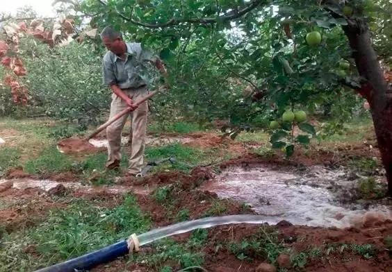 長江和黃河都白白流入大海，我國那麼缺水，為啥不築壩徹底利用？