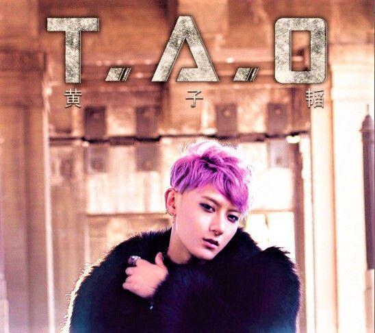 黃子韜：成名後不忘本，把啞巴發小留身邊，還出錢給他開咖啡店