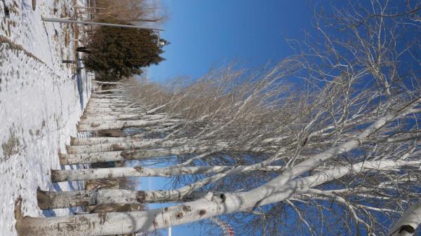 北京虎年初雪，看慣了朋友圈的故宮長城你知道這裡是哪裡嗎？