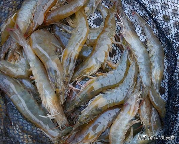 ​煮蝦時,不要只用水煮,多加三個料,蝦肉不腥,吃著Q彈有香氣 ​煮蝦時,不要只用水煮,多加三個料,蝦肉不腥,吃著Q彈有香氣