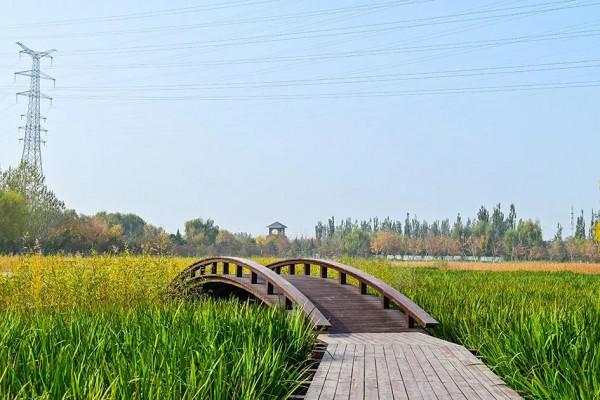 獨一無二！公園裡也能跑火車！京西這處免費的森林公園，值得玩