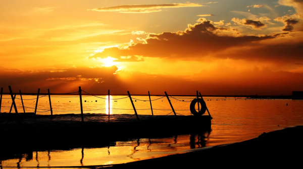 可以靠顏值，偏要靠實力！中旅新疆交出“旅遊興疆”成績單