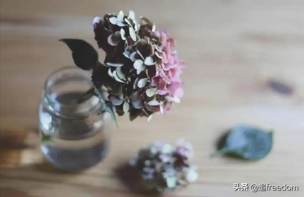 年會中&OpenCurlyDoubleQuote;365天帶薪休假&rdquo;小夥別笑敗給現實。網友：他是人間清醒