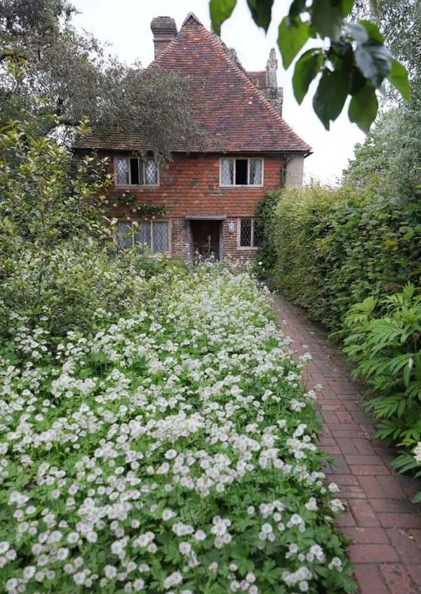 花園鑲邊，增加植物層次，豐富花園景觀