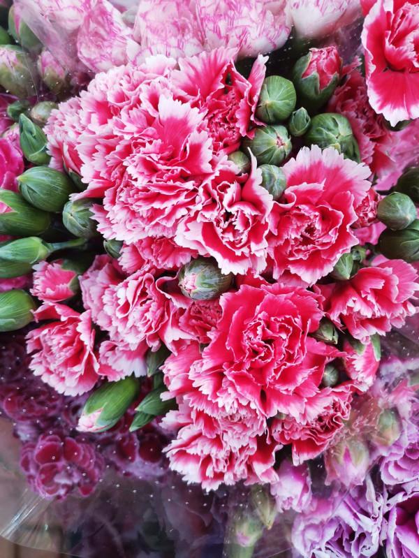 過年這些東西別浪費，養花種草好幫手