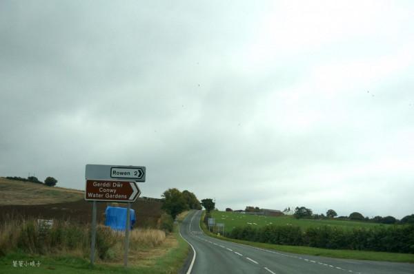 穿越1200萬隻羊的地方是種什麼感受？平均每人4頭羊，羊肉超好吃