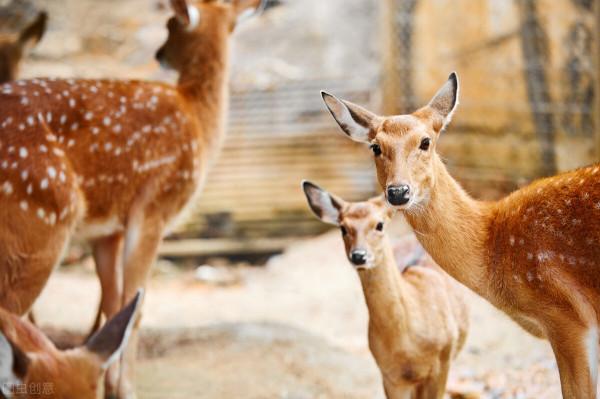 與其逃避，不如坦然面對
