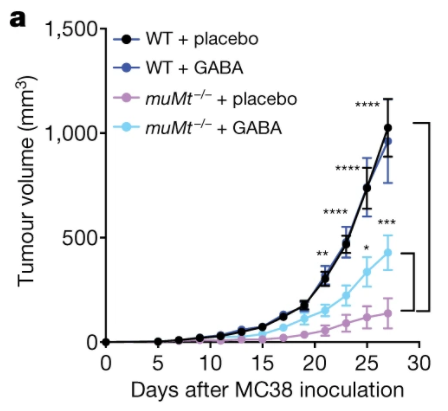 《自然》：B細胞，原來你也是叛徒！科學家首次發現B細胞可分泌GABA，抑制抗腫瘤免疫丨科學大發現