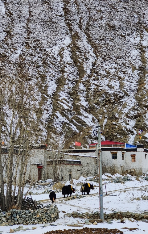 「行攝西藏」新春踏雪，迴歸自然