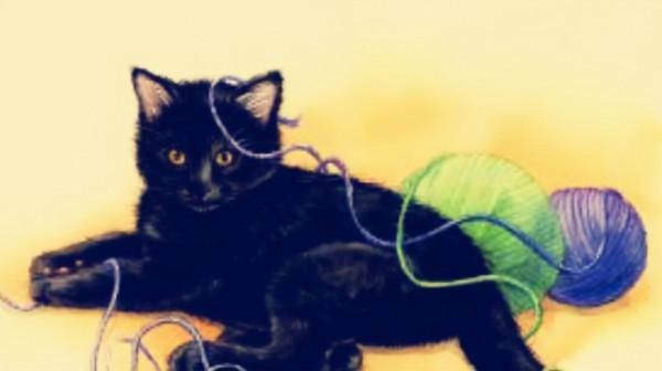 民間故事：少女肚子越來越大，大夫束手無策，道士：抓住你家貓