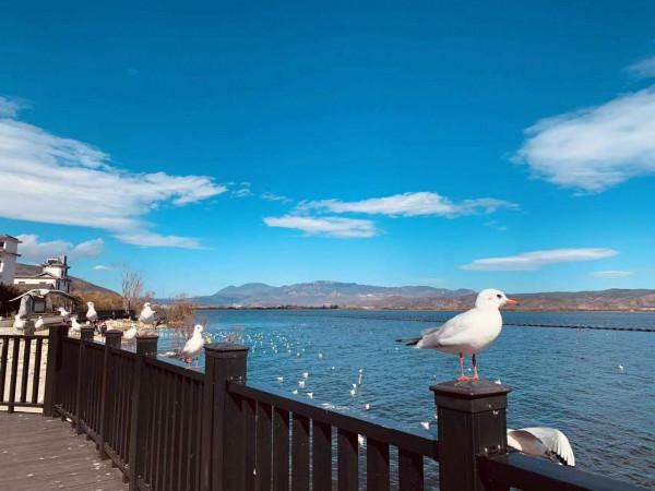 蒼山洱海，風花雪月