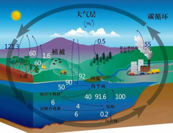 地球降溫還是變暖?南大洋正在吸碳,年吸碳量約比釋放多5.3億噸 地球降溫還是變暖?南大洋正在吸碳,年吸碳量約比釋放多5.3億噸