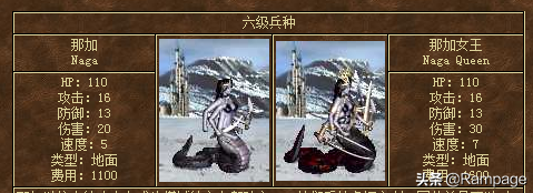 六級兵哪家強？飛龍王當仁不讓