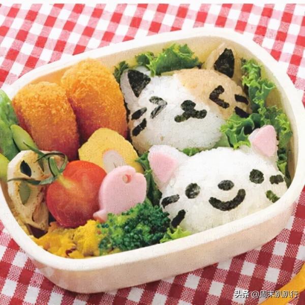 可愛爆炸！秋日萌萌噠便當，親子露營必備哦