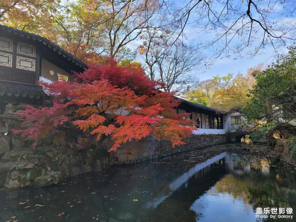 三星手機帶你走進深秋蘇州拙政園,一個最具有江南詩意的絕美園林 三星手機帶你走進深秋蘇州拙政園,一個最具有江南詩意的絕美園林