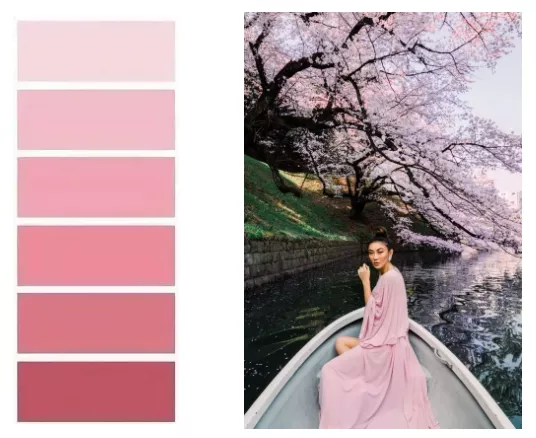 高階灰+粉色，天作之合的經典CP，給你難以自持的優雅與浪漫