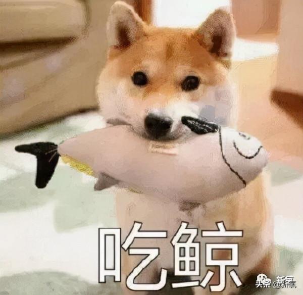 被叫大媽的她們，年輕時個個是絕色