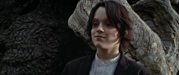 《哈利波特》深入解讀斯內普，他到底是好人還是壞人？