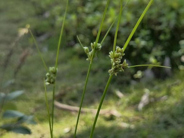 順手留影,我的貼身相機華為 Mate 40 pro+ 順手留影,我的貼身相機華為 Mate 40 pro+