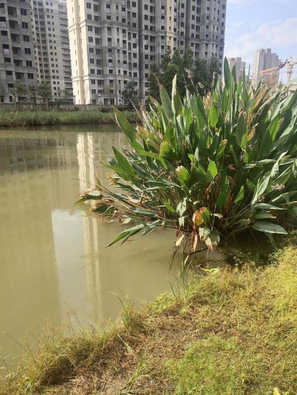 秋高氣爽釣魚不難,找準這些位置上魚就穩了 秋高氣爽釣魚不難,找準這些位置上魚就穩了