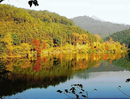 每到秋天,廣東的一些地方就變成了夢幻的童話 每到秋天,廣東的一些地方就變成了夢幻的童話