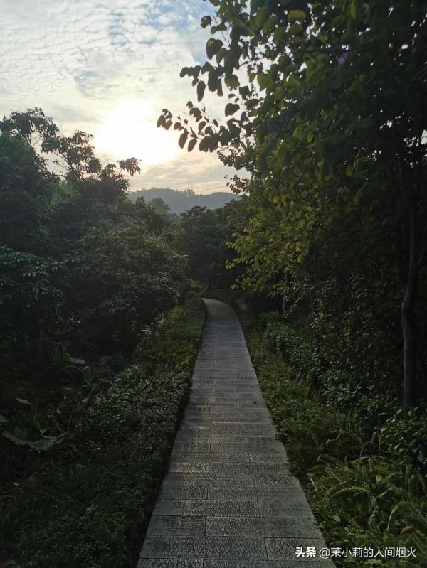 塘朗山&plus;深雲谷，我一天連爬這兩座山，也是沒誰了