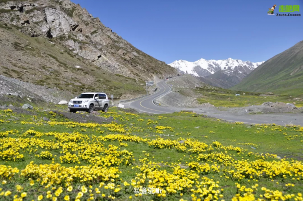 1028名日本人報名遊新疆？新疆顏值實錘了，一年四季，美麗不停歇