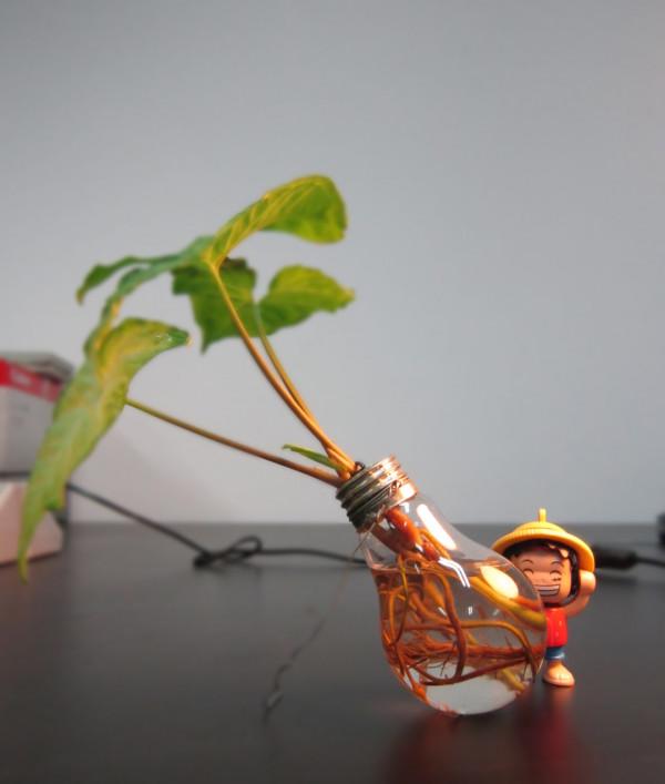 手工DIY丨值得一試的小手工（滴膠燈泡海景）