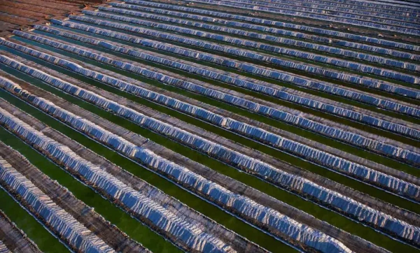 新疆是一幅畫,美得讓人沉醉 新疆是一幅畫,美得讓人沉醉