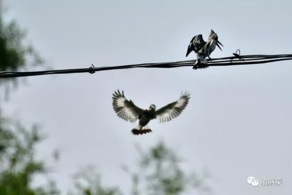 那些看似無聊的等待