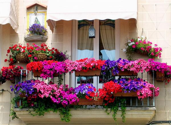 花園式窗臺，美得不像話，趕緊收藏起來