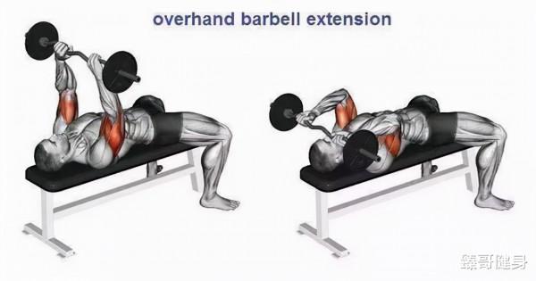 健身:大神都這樣練手臂,八大黃金動作(下) 健身:大神都這樣練手臂,八大黃金動作(下)