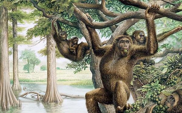 人類明明體格不壯,力量也不強,為什麼卻長著頂級捕獵者的眼睛? 人類明明體格不壯,力量也不強,為什麼卻長著頂級捕獵者的眼睛?