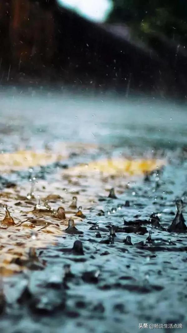 天氣預報：明天是冬至節氣！下雨有啥預兆？看看過去的農諺俗語