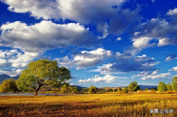 五運六氣是如何為中醫學提供疾病參考的？