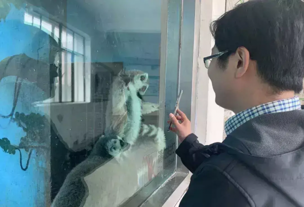 中國“最窮”的動物園 在中國最高的地方