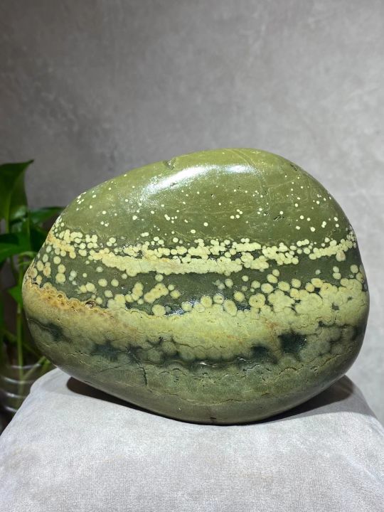 桃江河奇石收藏