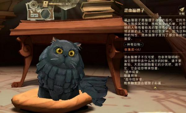 哈利波特手遊:什麼!紐特的神奇動物全變人了?快來速速圍觀 哈利波特手遊:什麼!紐特的神奇動物全變人了?快來速速圍觀