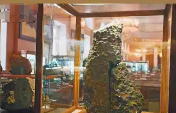 揭秘隕石斷面耶穌像之謎