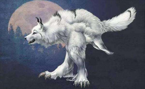 農村老人常說得比狼高大凶猛的山混子、老扒子分別是什麼動物？