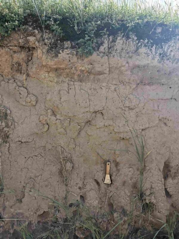 青海又一重大發現