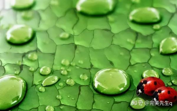 李復禎心意八卦連環掌格鬥秘訣 權成