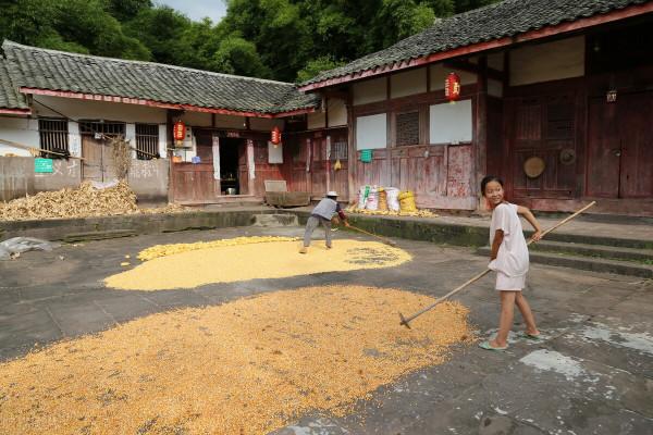 想把全國各地的農村老房子都集中在一起，你們覺得能實現嗎