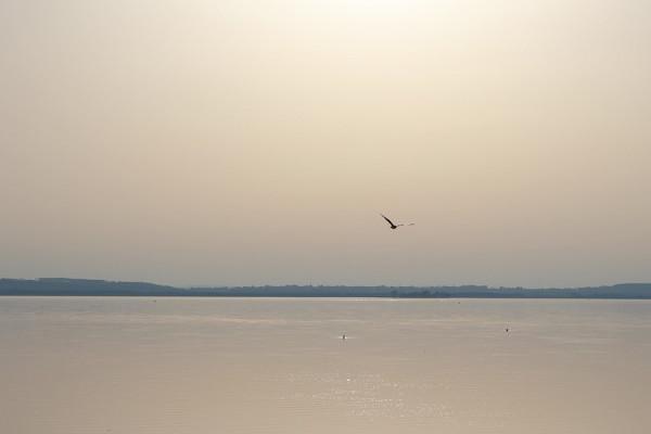 十二生肖2021年10月3日運勢查詢