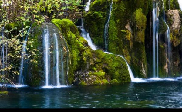 窮人不能缺野心