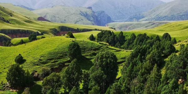 美麗景色，金山銀山不如綠水青山，人間美景，美不勝收
